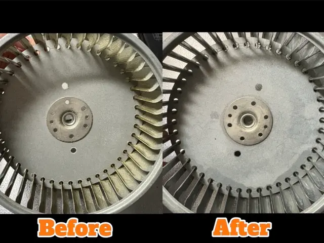 すべてのご依頼を女性スタッフが訪問！お子様やペットがいるご家庭もご安心ください！サービスの画像