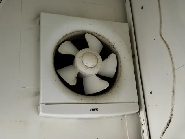 レンジフード（換気扇）クリーニング / プロペラタイプサービスの画像