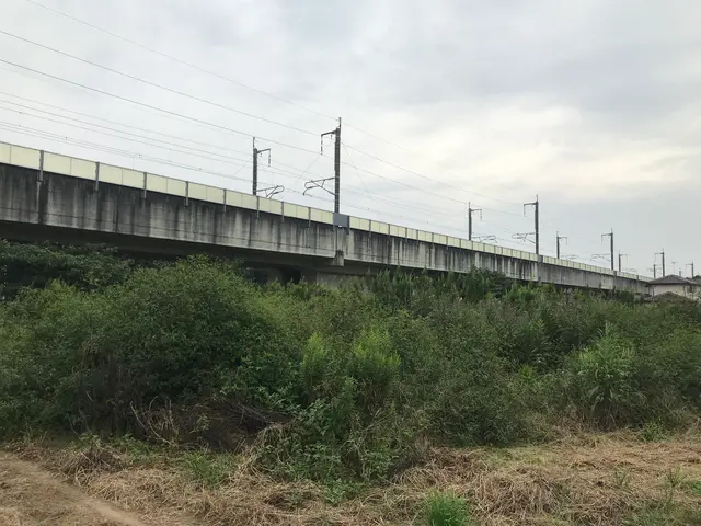 草刈り専門店　芝刈り、お庭　太陽光用地、空家、空地　お任せ下さいサービスの画像