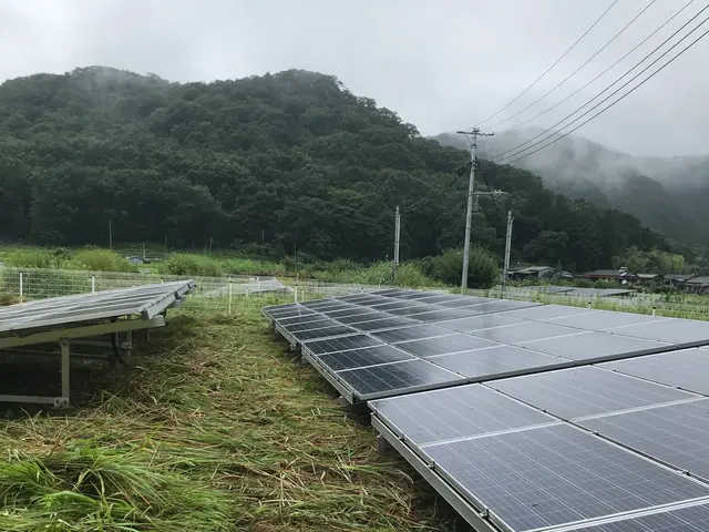草刈り専門店　芝刈り、お庭　太陽光用地、空家、空地　お任せ下さいサービスの画像