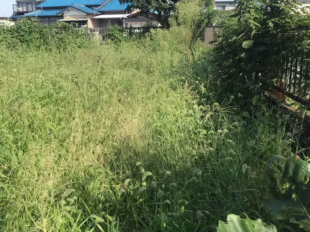 草刈り専門店　芝刈り、お庭　太陽光用地、空家、空地　お任せ下さいサービスの画像