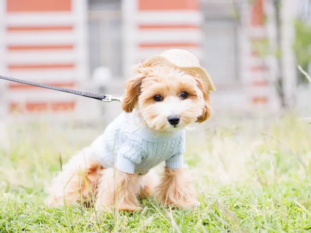 【撮影実績多数！】SNS映え出来る写真を撮影します！