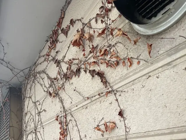 あなたの「困った！」を私たちが全力で解決します！サービスの画像