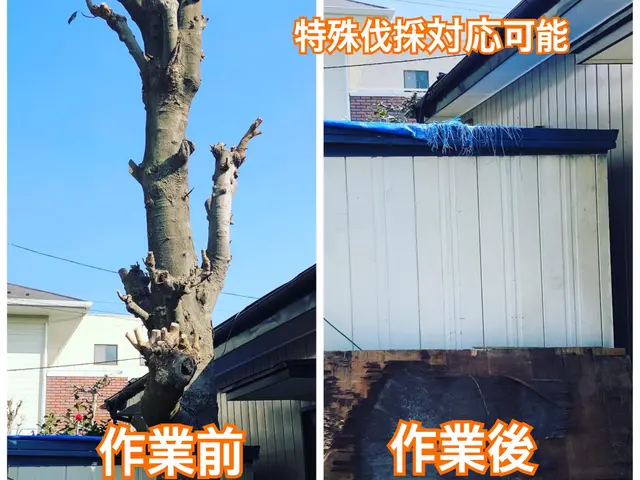 【アワード23'24年入選】即返信！　植木協会会長在籍　年間500件実績サービスの画像