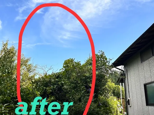 ☆お客様のご希望に寄り添い、安心・丁寧な作業でお庭をリフレッシュいたします☆サービスの画像