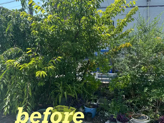 ☆お客様のご希望に寄り添い、安心・丁寧な作業でお庭をリフレッシュいたします☆サービスの画像