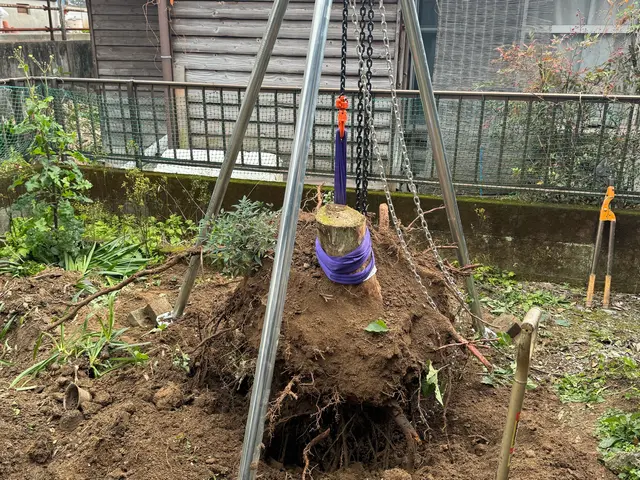 ※庭木/外構工事の事なら何でもご相談承ります♪1本からでも承ります！サービスの画像