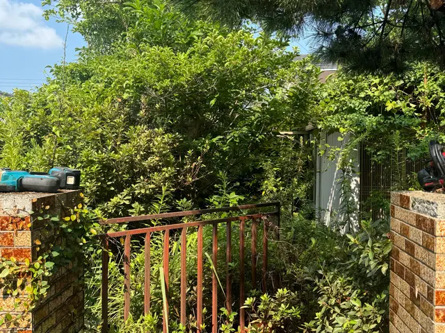 庭木の伐採/高木対応・安全作業サービスの画像