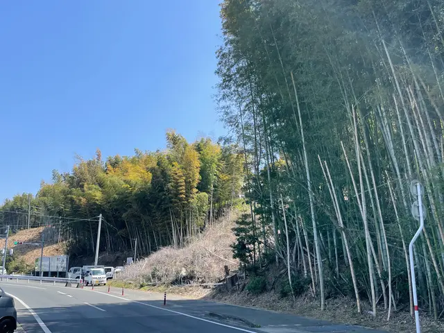 ※庭木/外構工事の事なら何でもご相談承ります♪1本からでも承ります！サービスの画像