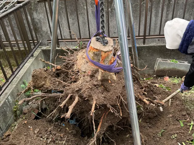 ※庭木/外構工事の事なら何でもご相談承ります♪1本からでも承ります！サービスの画像