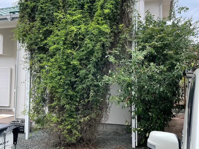 ※庭木/外構工事の事なら何でもご相談承ります♪1本からでも承ります！サービスの画像