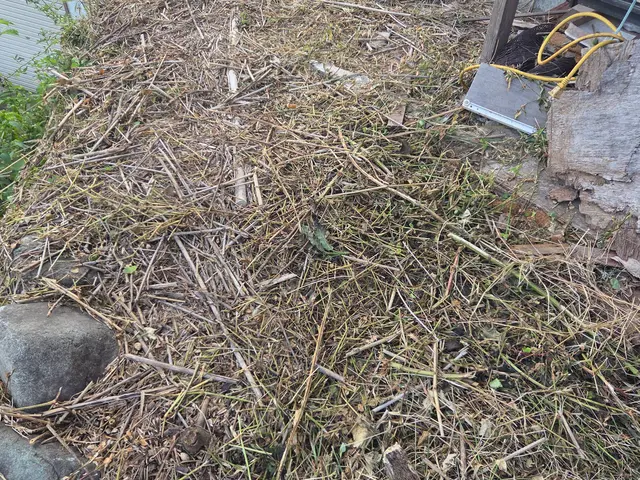 草刈り機を使っての草刈りです！サービスの画像