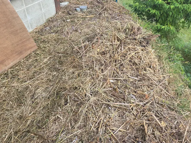 草刈り機を使っての草刈りです！サービスの画像