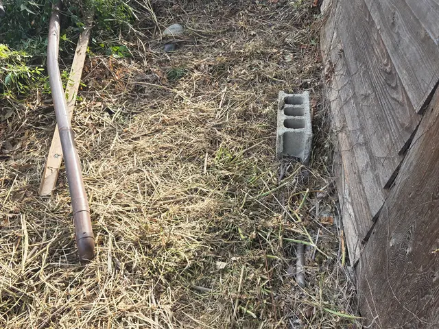 草刈り機を使っての草刈りです！サービスの画像