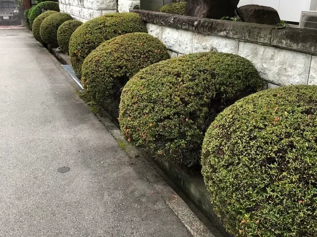 【印象第一！】質重視の丁寧作業！サービスの画像