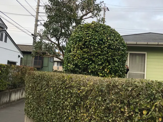 【八王子市発】女性スタッフ同行可！営業時間外や対応地域外のご予約もご相談下さい◎サービスの画像