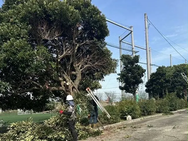 プロの技術でご満足いただけるように心を込めて作業いたしますサービスの画像
