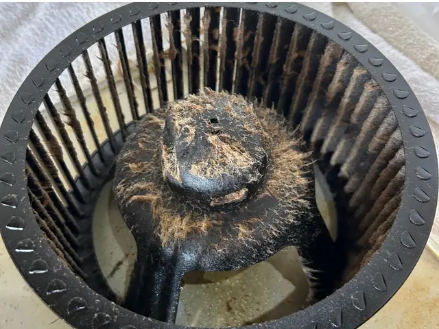 【圧倒的な技術力】確かな品質をお求めの方は、当店にお任せください！サービスの画像