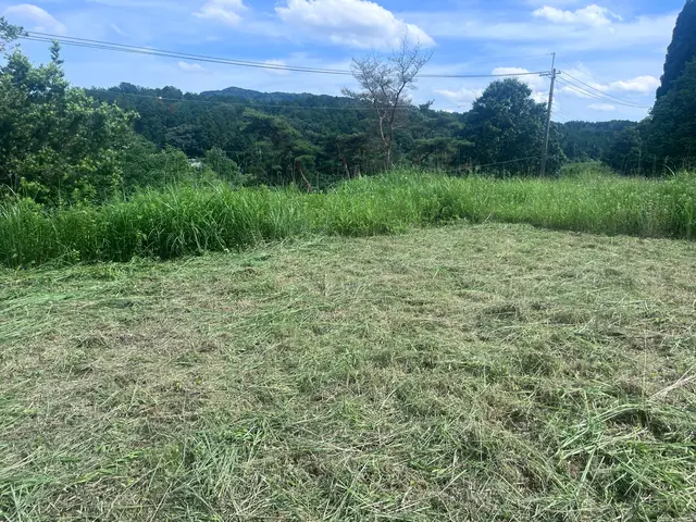 剪定、伐採、抜根の組み合わせ可能です！サービスの画像