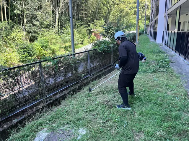 剪定、伐採、抜根の組み合わせ可能です！サービスの画像