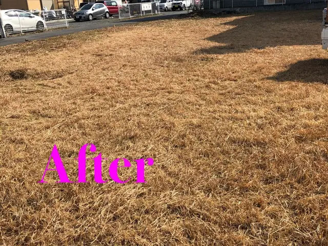 剪定、伐採、抜根の組み合わせ可能です！サービスの画像