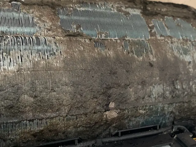 【期間限定特価】迅速、丁寧、清潔の三拍子！安心価格で徹底洗浄！写真本人が対応♪サービスの画像