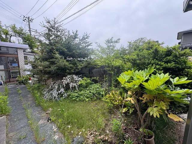 造園会社で6年以上経験◎松から雑木まで様々対応☆まずは相談下さい！サービスの画像