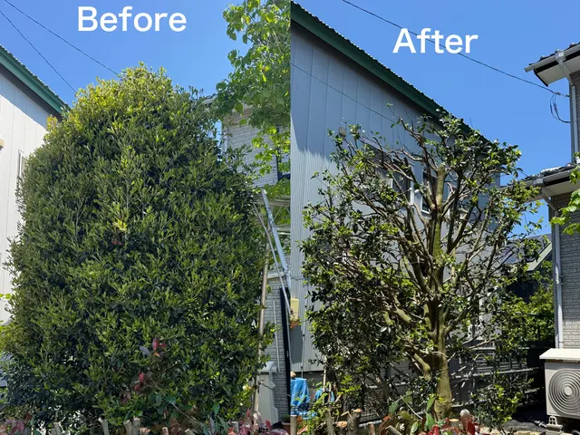 造園会社で6年以上経験◎松から雑木まで様々対応☆まずは相談下さい！サービスの画像