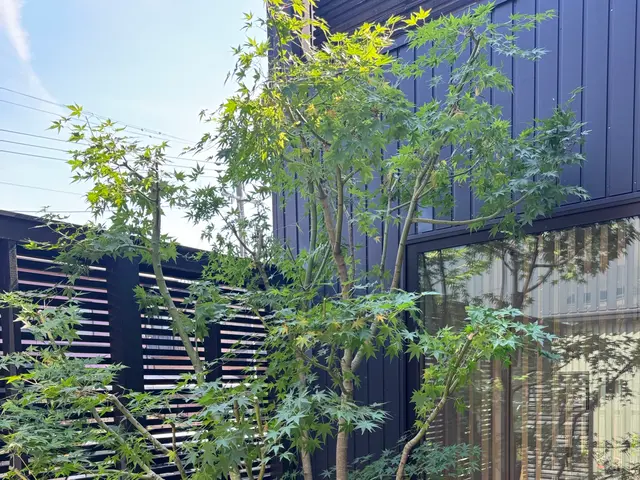 造園会社で6年以上経験◎松から雑木まで様々対応☆まずは相談下さい！サービスの画像