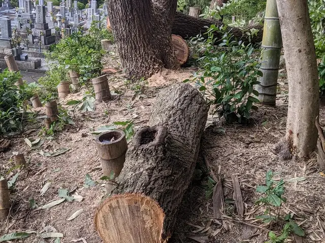 ★難しい現場も対応★14年以上の実績と自社施工で安心の伐採・抜根サービスサービスの画像