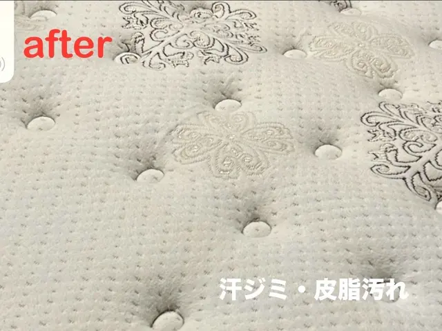 【信頼・安心・実績】★汚れやニオイを一発解決★衝撃の洗浄力★早めのダニ対策★サービスの画像