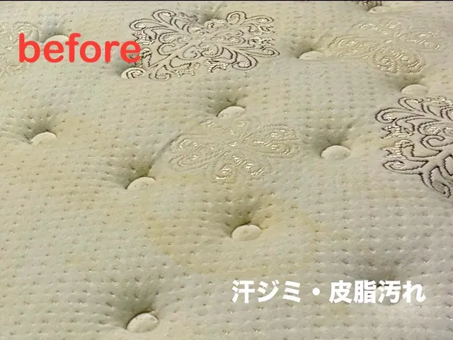 【信頼・安心・実績】★汚れやニオイを一発解決★衝撃の洗浄力★早めのダニ対策★サービスの画像