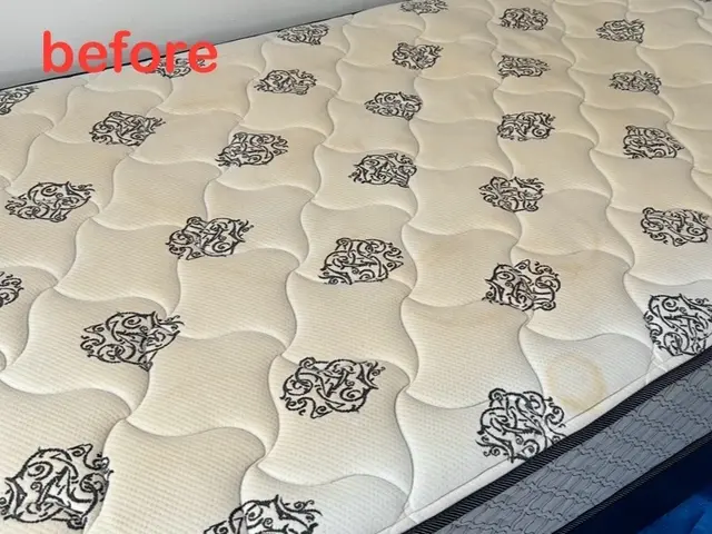 【信頼・安心・実績】★汚れやニオイを一発解決★衝撃の洗浄力★早めのダニ対策★サービスの画像