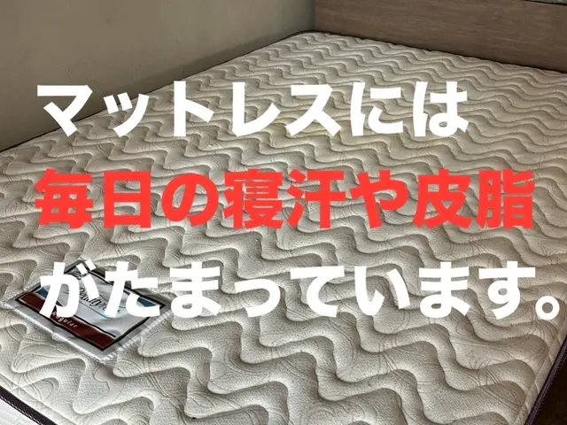 【信頼・安心・実績】★汚れやニオイを一発解決★衝撃の洗浄力★早めのダニ対策★サービスの画像