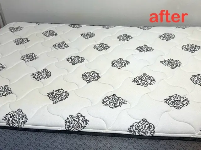 【信頼・安心・実績】★汚れやニオイを一発解決★衝撃の洗浄力★早めのダニ対策★サービスの画像