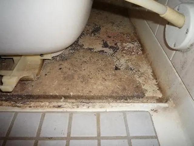 浴室の石鹸カスや水垢、カビ落とし爽快に。料金upなし。駐車料金0サービスの画像