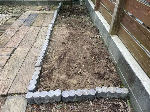 落ち葉掃除が面倒・日当たりが悪い・倒木の不安、庭木一本から丁寧に伐採しますサービスの画像