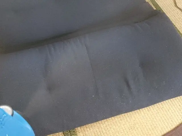 2回施工　6ヶ月保証付き　駆除実績多数　トコジラミの被害とストレスを解決します！サービスの画像