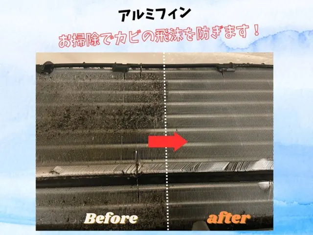 消臭抗菌コートサービス！複数がお得！1台8000円2台目からは500円OFF!サービスの画像