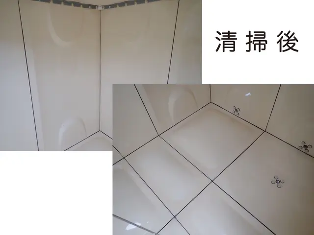 【貯水槽清掃一筋15年】3,000件以上の実績★専門のエキスパートです！サービスの画像