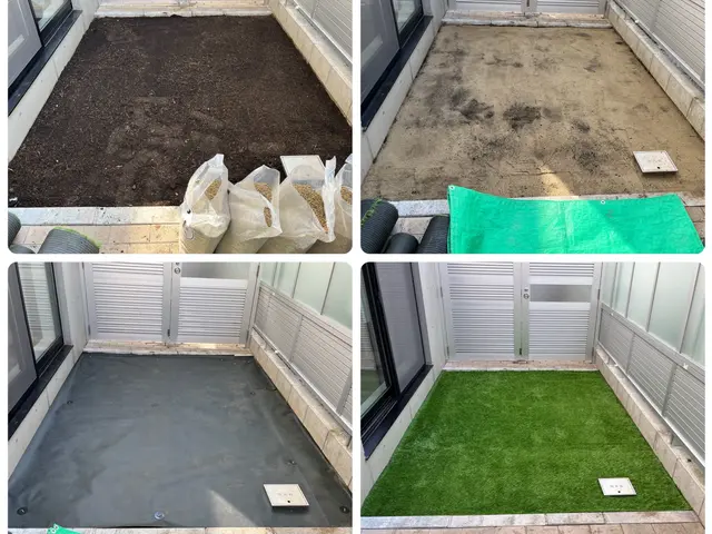 ☆明るいお庭へ大変身☆笑顔になります^^ご家族で戯れ☆外見良好☆メンテほぼ不要☆サービスの画像