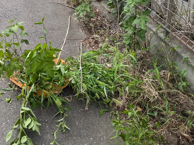 綺麗スッキリ！！【笑顔でお客様第一に】【返信迅速対応！】【安心の法人運営！】サービスの画像