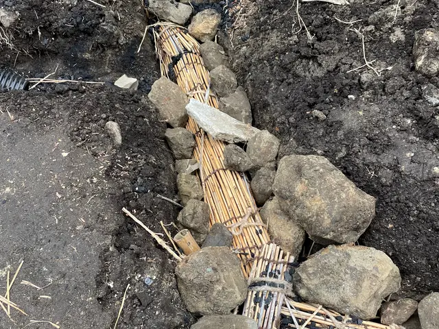 自然素材を使用し、地中の酸素不足、水捌けを良くし健康的な根っこを育てます。サービスの画像