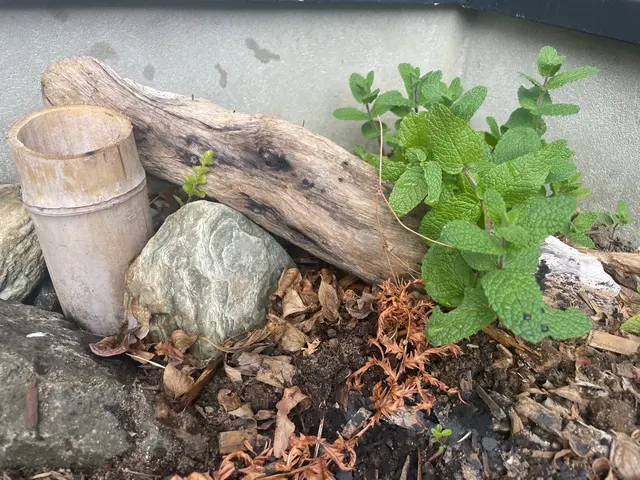 自然素材を使用し、地中の酸素不足、水捌けを良くし健康的な根っこを育てます。サービスの画像