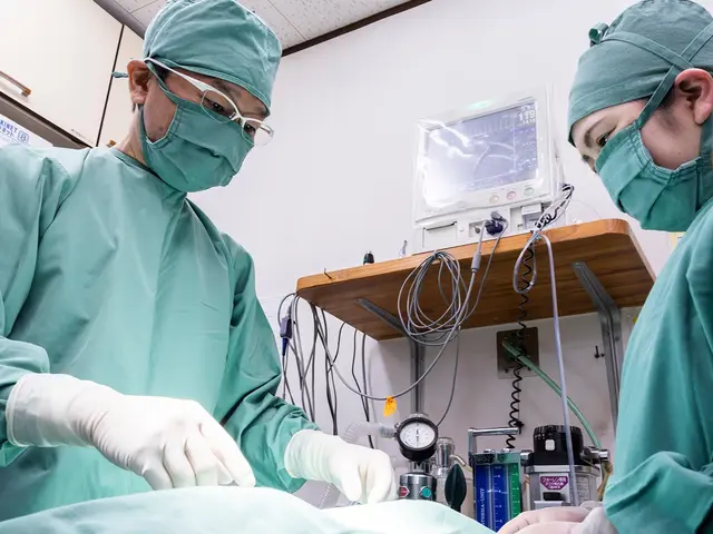 【41年の経験】出張撮影いたします、ご自宅にセットを組んでの撮影もできます。