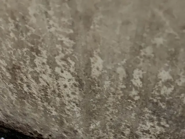 【新規出店価格】15000円→13000円この機会に是非！パーキング代無料サービスの画像