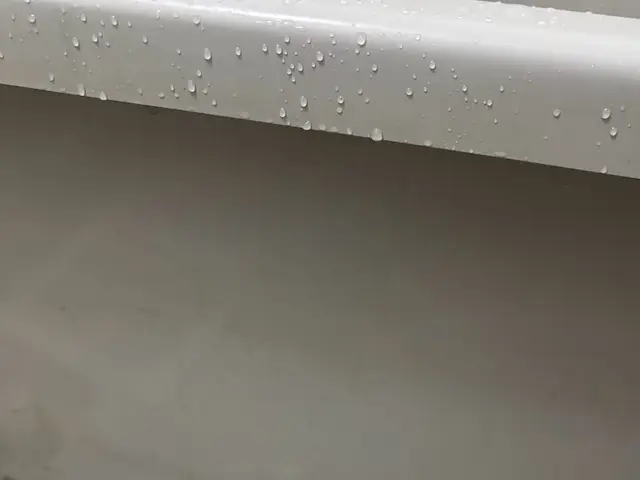 【新規出店価格】15000円→13000円この機会に是非！パーキング代無料サービスの画像