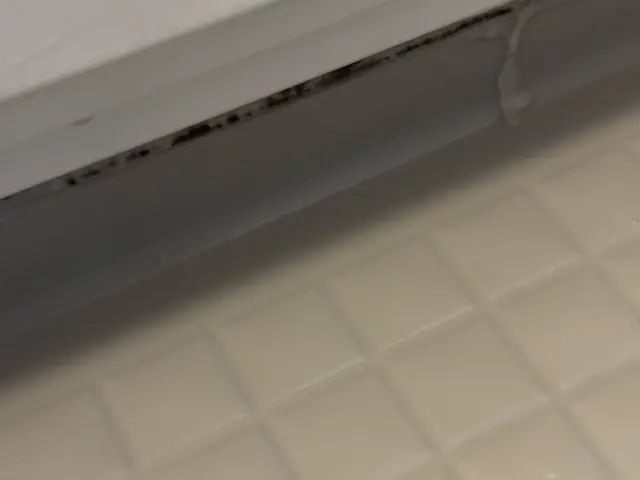 【新規出店価格】15000円→13000円この機会に是非！パーキング代無料サービスの画像