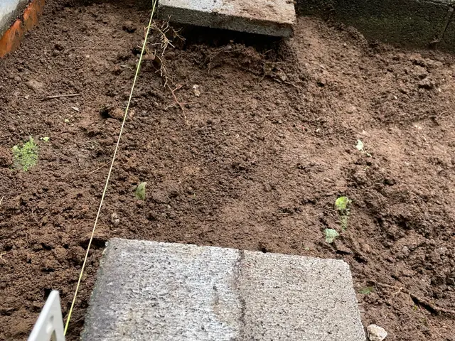 物置きの設置　移動　解体サービスの画像