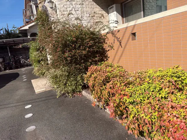 ◆植え込み・生垣などの剪定◆定期作業もお任せくださいサービスの画像